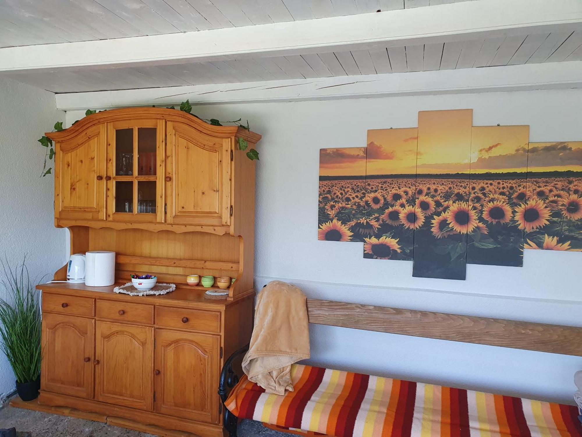 Afrodita Apartment Vrdnik Luaran gambar